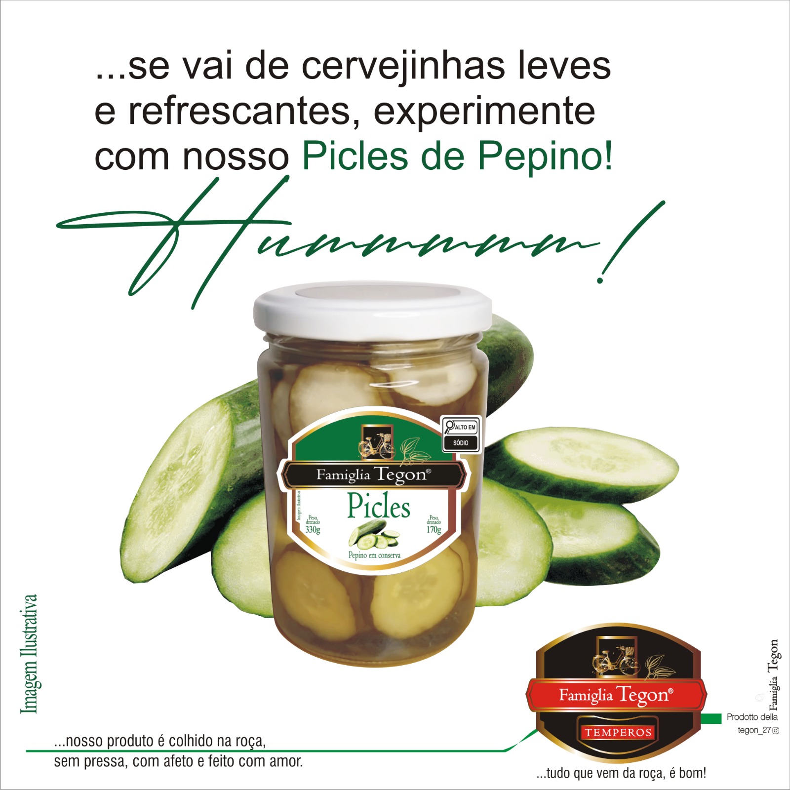 Picles de Pepino em conserva — Famiglia Tegon